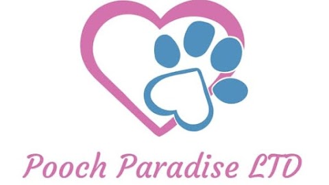 Pooch Paradise