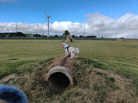 Unleashed Dog Parks - Midlothian