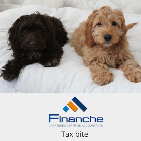 Finanche Ltd - Chartered Certified Accountants and Tax Advisors Reading