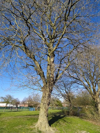 Collingwood Primary School