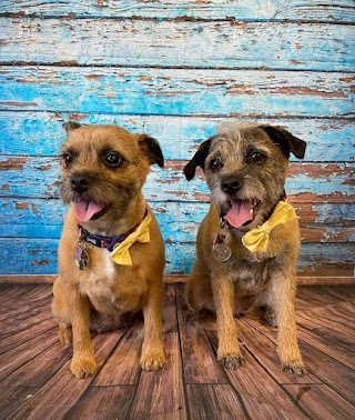 Bow Wow Scotland Dog Grooming Studio