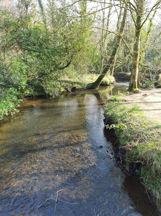 Penllergaer Valley Woods