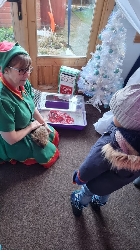 Andrew's Hedgehog Hospital