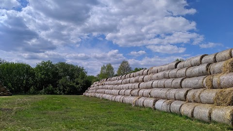 Парк імені П.Осоченка