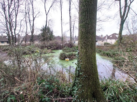 Silver Street Local Nature Reserve