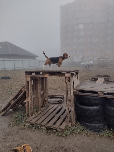 Майданчик для вигулювання собак