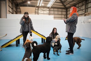 Dogs Aloud Doggy Daycare