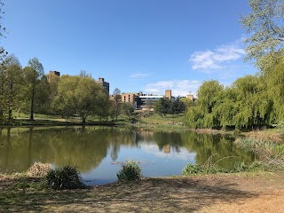 University of Surrey Lake