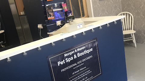 Morgan and Mason Pet Spa & Boutique - Professional Dog Groomers