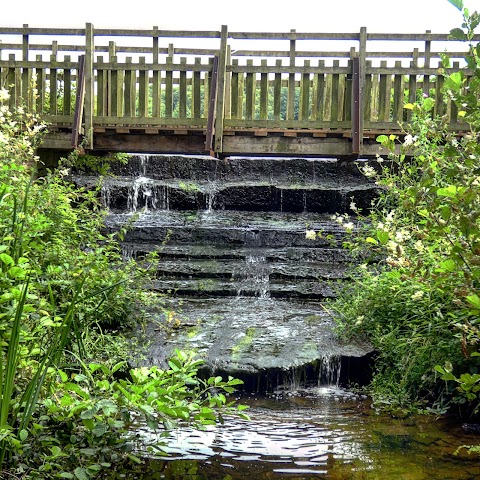 Hardwick Park ( Ponds )