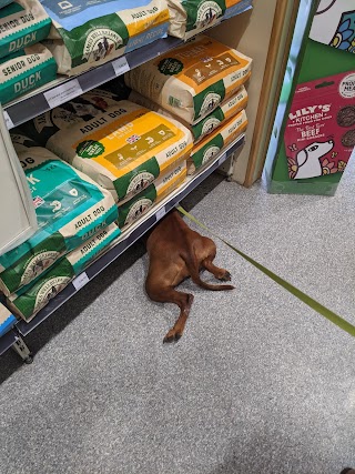 Pets at Home Basingstoke