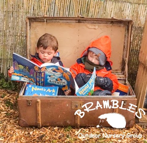 Brambles Outdoor Nursery Group