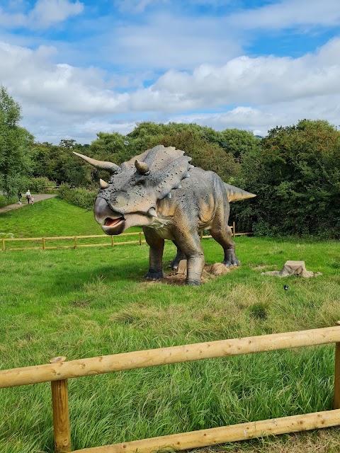 Avon Valley Adventure & Wildlife Park