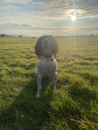 Chew Valley PetHub