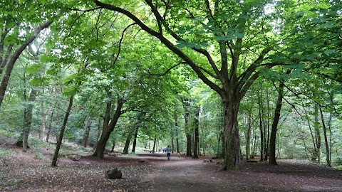 Borsdane Wood