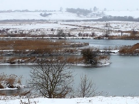 Великі Грибовичі, ВПЗ