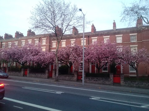 Nottingham Central Budget Apartments