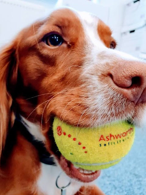 Ashworths Solicitors Wimbledon