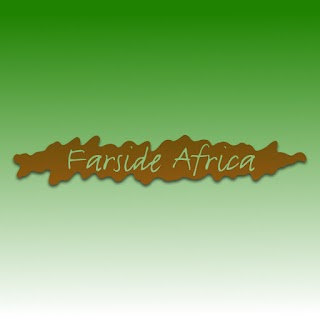 Farside Africa