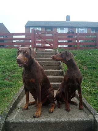 Folly Veterinary Centre