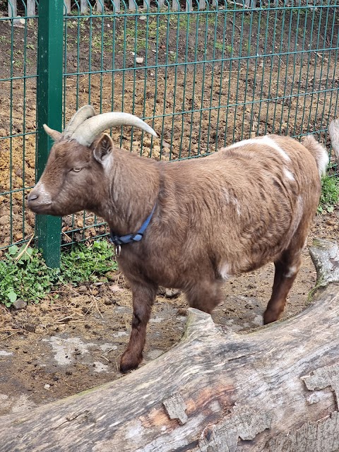 St. Anne's City Farm and Ecology Centre