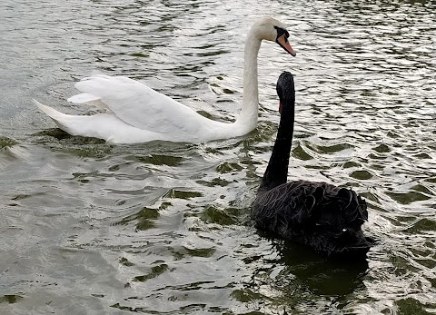 Cleethorpes Boating Lake