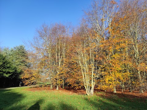 Fosse Meadows Country Park