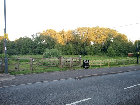 Kingsbury Meadow Local Nature Reserve