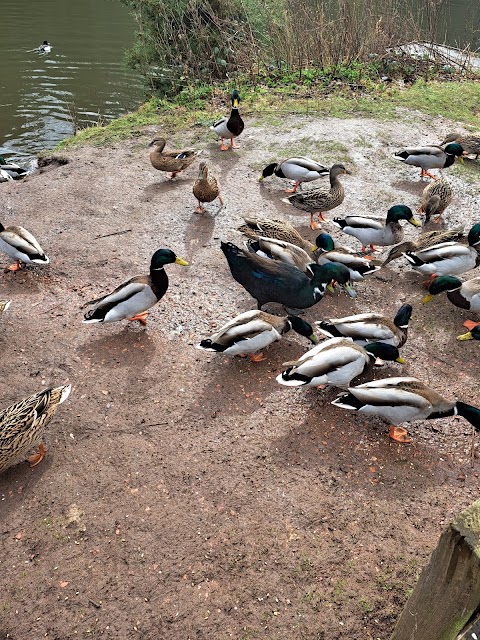 Vicar Water Country Park