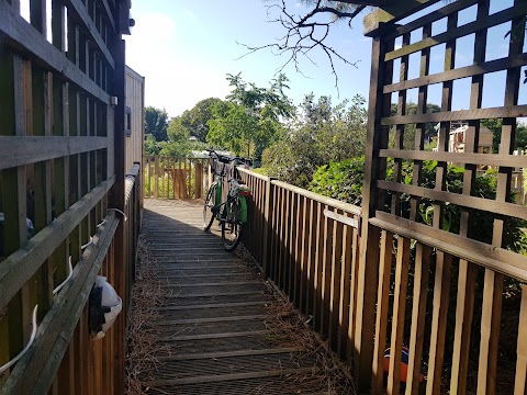 Canoe Lake Nursery