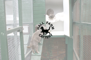 Hall Farm Cattery