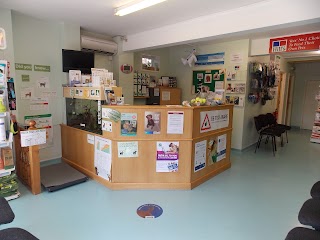 Harrier Veterinary Surgery - Hamble