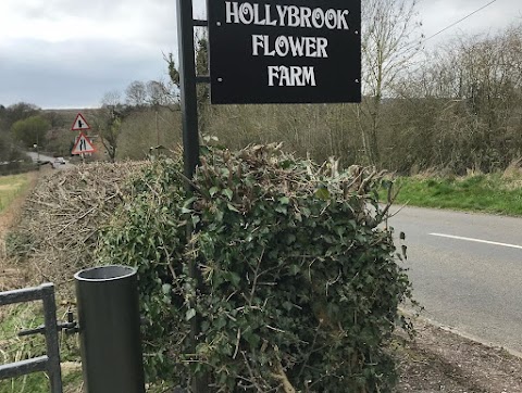 Hollybrook Flower Farm