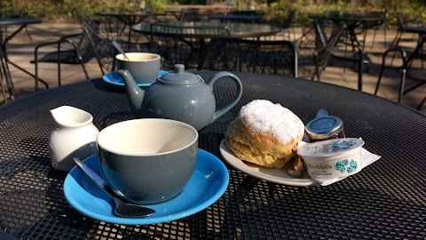 Garden Cafe - Holburne Museum