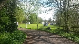 Brook Lodge Farm Camping & Caravan Park