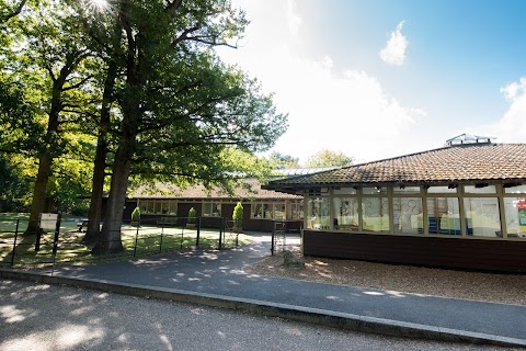 Claremont Fan Court Nursery and Forest School