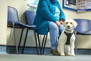 Summerhill Veterinary Centre