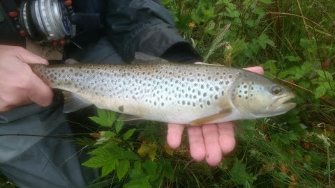 Fly Fishing Wales