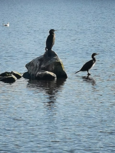 Nature reserve