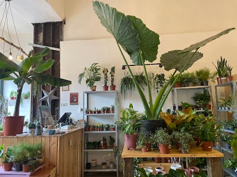 Urban Jungle Brunch Room