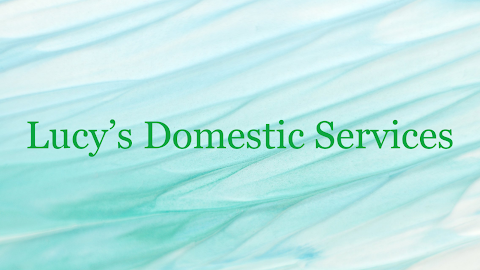 Lucy's Domestic Services