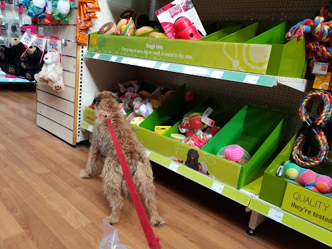 Pets at Home Ashby De La Zouch