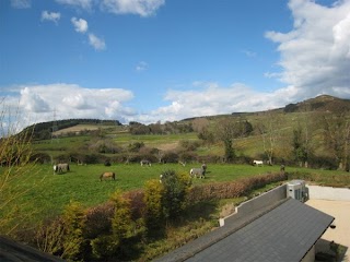 Beeches Brook Boarding Kennels