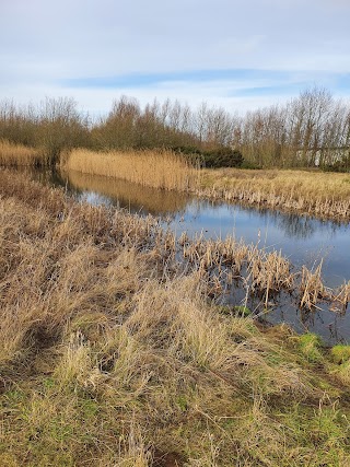 Rossi's Lake