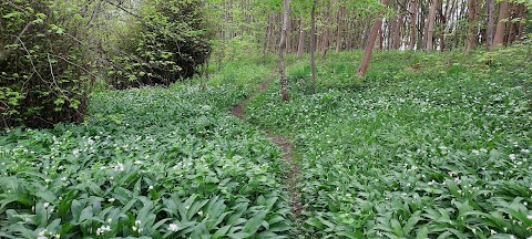 Linwood Riverside Walk