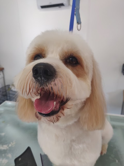 Harriet's Dog Grooming & Day Care