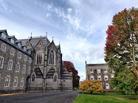 Maynooth University