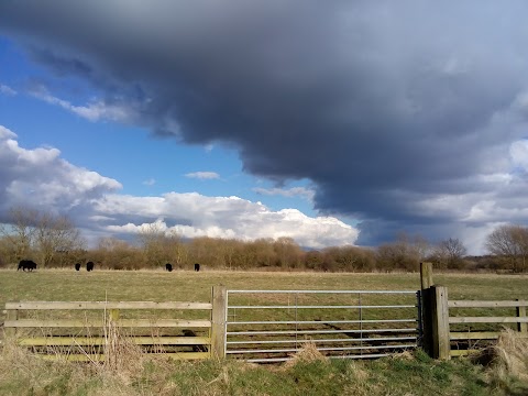 LRWT Cossington Meadows