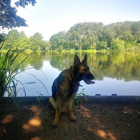 Allestree Park Lake