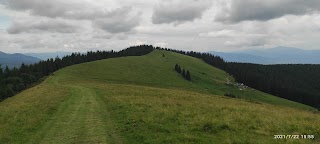 Полонина Довга, літнє пасовище